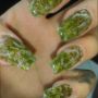 babyplant96