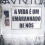 mbo
