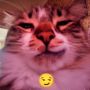 Poob