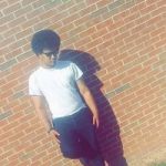 Acebrodie