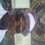 Kevin702