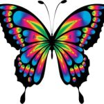 butterfly85