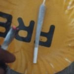 Raja_lords