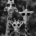 Curious2