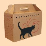 teatcat
