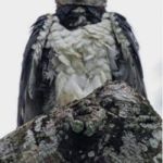 kabeerkhan