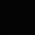 BamaBoy