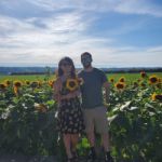 sunflowerforest