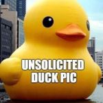 ScarletteRose13