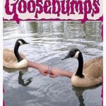 Goosebumps