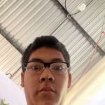 mullos4694