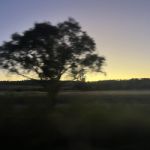 ShesTaken