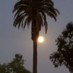 DowntownSD