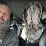 FuzzyBear
