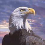 HarveyEagle