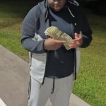 zay81827