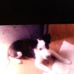 Irishluckky58882