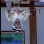 official_Sheikh_Hamdan_Fazza__1