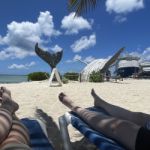 FunCoupleInWA