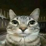 kevinyenm