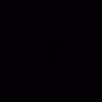 khalid_cm14
