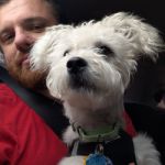 TheKindell