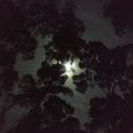 Aprakaprapra