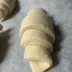 raj26
