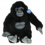 Ahmed