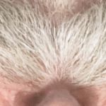 Fuzz Face 73
