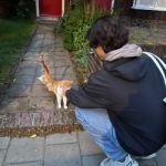 Bram