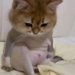 Qqq