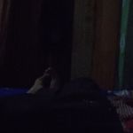 Sameer