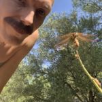 Carl