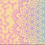 Calx