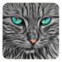 FeyGreyCat