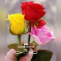 Madamsadam