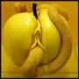 evenmary