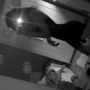 heyitsgiinaaa