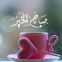 Habibi