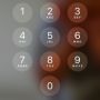 Alexh1323