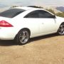 3ply