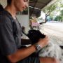 DoggoLover