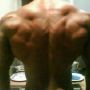 shamroc23sham